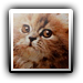 Avatar de alexherp